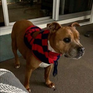 Meet your Posher, Ali